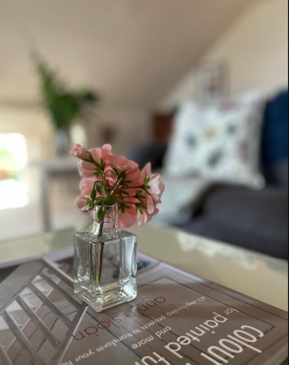 The Pink Cottage Upstairs Suite & Garden Summer Room Whitehead Ngoại thất bức ảnh